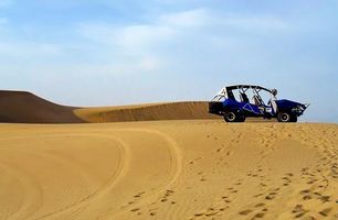 Quad Lanzarote - 4466 species