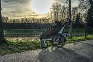 Rent A Buggy - 43680 species Rent A Buggy - 84279 species