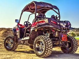 Rent A Quad - 13059 species