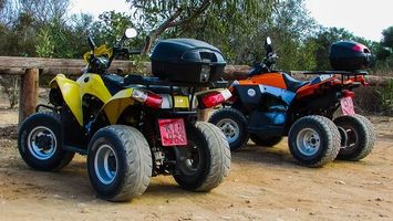 Trike Excursion - 64039 suggestions