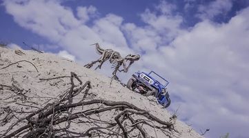 Trike Excursion - 98085 news