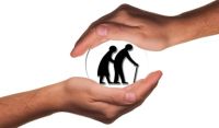 24 Stunden Betreuung Zu Hause - 99834 Spezies 24 Stunden Betreuung Zu Hause - 33508 Spezies