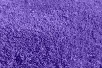 Carpet Cleaning Golders Green - 26292 news Carpet Cleaning Golders Green - 18537 news