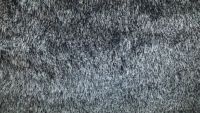 Carpet Cleaning London - 1416 awards