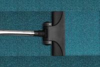 Carpet Cleaning Sutton - 54460 species
