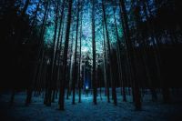 фенери Nitecore - 25150 вида