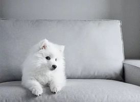 Mattress Steam Cleaning London - 74860 combinations Mattress Steam Cleaning London - 55331 combinations