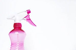 Move Out Cleaning - 31138 species