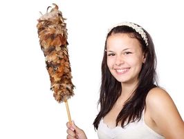 Move Out Cleaning - 75947 customers