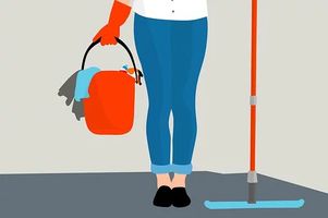 Move Out Cleaning - 64358 species