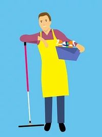 Move Out Cleaning - 75316 species