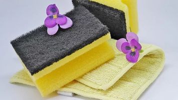 Professional Cleaning London - 2748 selection Professional Cleaning London - 44834 selection