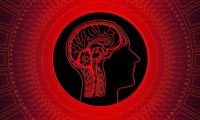 работни станции - 17388 разновидности работни станции - 59433 разновидности