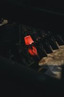 брадви - 42229 разновидности