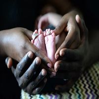 съхранение на стволови клетки - 28353 селекции съхранение на стволови клетки - 4547 селекции