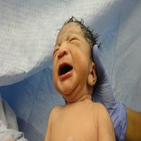 стволови клетки от пъпна връв - 13685 промоции стволови клетки от пъпна връв - 44952 промоции
