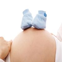 стволови клетки от пъпна връв - 53500 варианти стволови клетки от пъпна връв - 97368 варианти