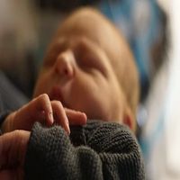 тъканна банка - 69478 награди | stvolovikletki.com тъканна банка - 10297 награди