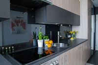 Luxury Apartments Bulgaria - 88812 types