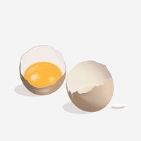 яйчни белтъци - 62420 оферти