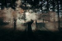 сватбен фотограф - 97761 предложения сватбен фотограф - 66082 предложения