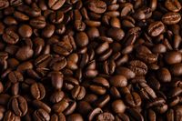 кафе Lavazza - 13218 вида | Cafeteria кафе Lavazza - 81367 вида