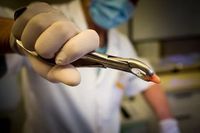 детска стоматология - 76205 цени детска стоматология - 93273 цени