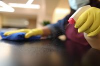 фирма за дезинфекция - 13481 вида | Izvozvane фирма за дезинфекция - 90152 вида