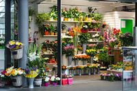 букети от рози - 95546 новини | Flowers-angeli букети от рози - 45863 новини