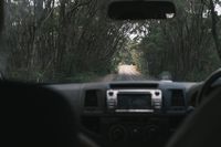Бустери - 65448 вида Бустери - 7144 вида