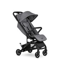 Easywalker - 26924 разновидности