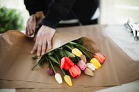 интериорно озеленяване - 7194 бестселъри