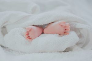 бебешки бодита с предно закопчаване за момче - 62129 цени бебешки бодита с предно закопчаване за момче - 18890 цени