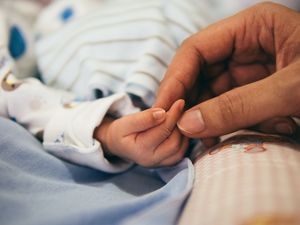 бебешки бодита с предно закопчаване за момче - 69374 възможности бебешки бодита с предно закопчаване за момче - 19090 възможности