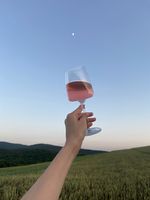 чаши за вино - 86862 възможности