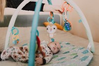 скринове - 62196 новини скринове - 60353 новини