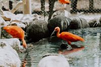 екскурзия Колумбия - 48392 промоции екскурзия Колумбия - 1638 промоции