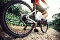 ремонт на велосипеди - 51185 предложения | Bikes4you ремонт на велосипеди - 44278 предложения
