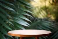Restaurant Chairs - 88817 achievements