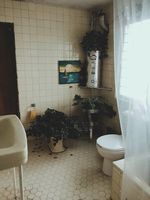 отпушване на тоалетни Велико Търново - 96767 новини отпушване на тоалетни Велико Търново - 71566 новини
