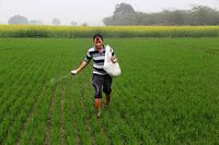 поддръжка на трева - 66152 награди | Organicsols поддръжка на трева - 80992 награди