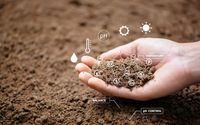 райграс - 53154 новини | Organicsols райграс - 50201 новини
