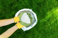 тревна смес - 27397 новини | Organicsols тревна смес - 13927 новини