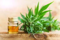 CBD масло - 49334 награди CBD масло - 31583 награди