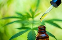 CBD масло - 43353 снимки CBD масло - 85156 снимки