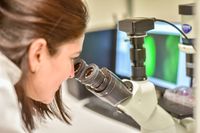 мезенхимни стволови клетки - 54437 снимки | Bioregeneration мезенхимни стволови клетки - 37474 снимки