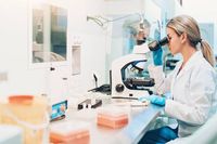 мезенхимни стволови клетки - 68896 отстъпки | Bioregeneration мезенхимни стволови клетки - 4966 отстъпки