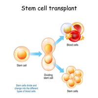 мезенхимни стволови клетки - 53638 отстъпки | Bioregeneration мезенхимни стволови клетки - 49841 отстъпки
