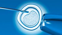 замразяване на стволови клетки - 68804 промоции | Bioregeneration замразяване на стволови клетки - 80556 промоции