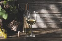 бяло вино - 67560 варианти бяло вино - 32718 варианти